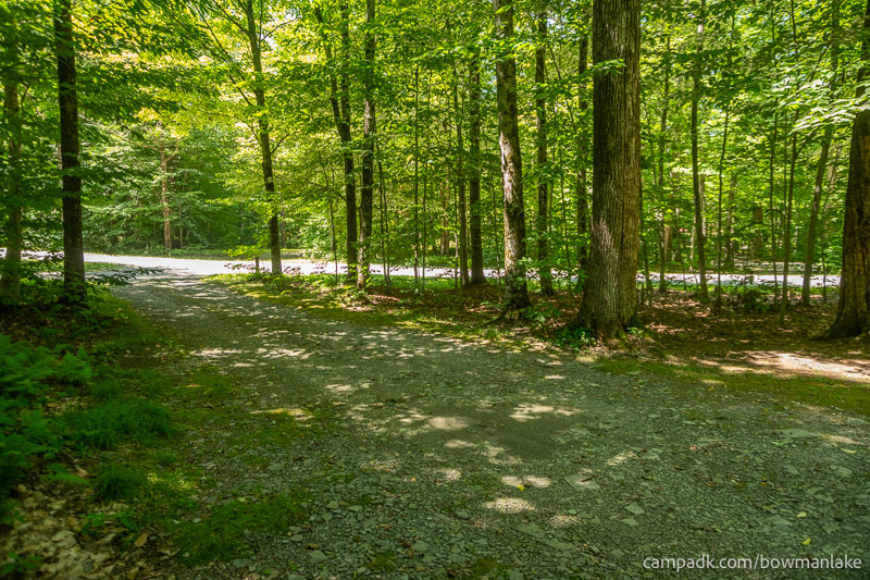 Campsite Photo of Site 105 at Bowman Lake State Park, New York - Looking Back Towards Road