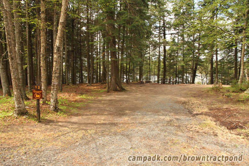 Campsite Photo of Site 12 at Brown Tract Pond Campground, New York - Looking at Site from Road Sign Visible