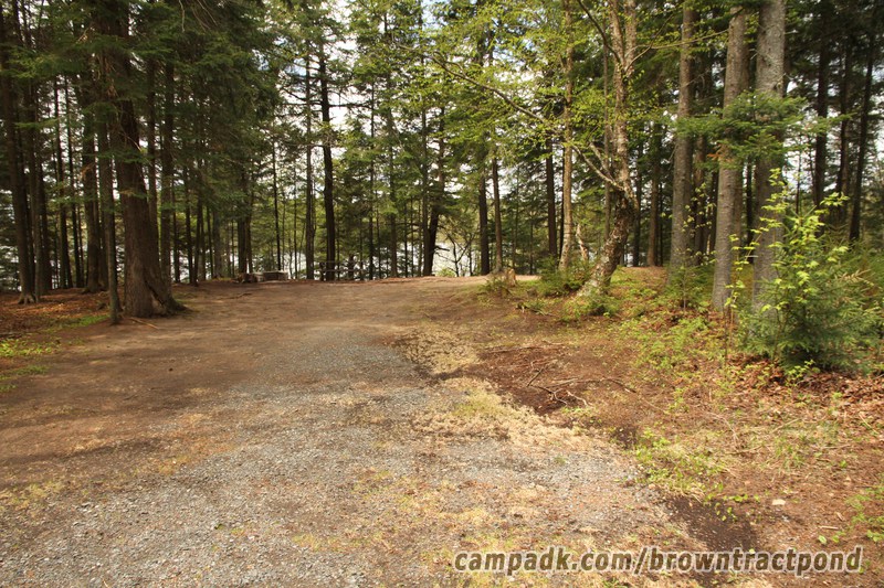 Campsite Photo of Site 12 at Brown Tract Pond Campground, New York - Looking at Site from Road