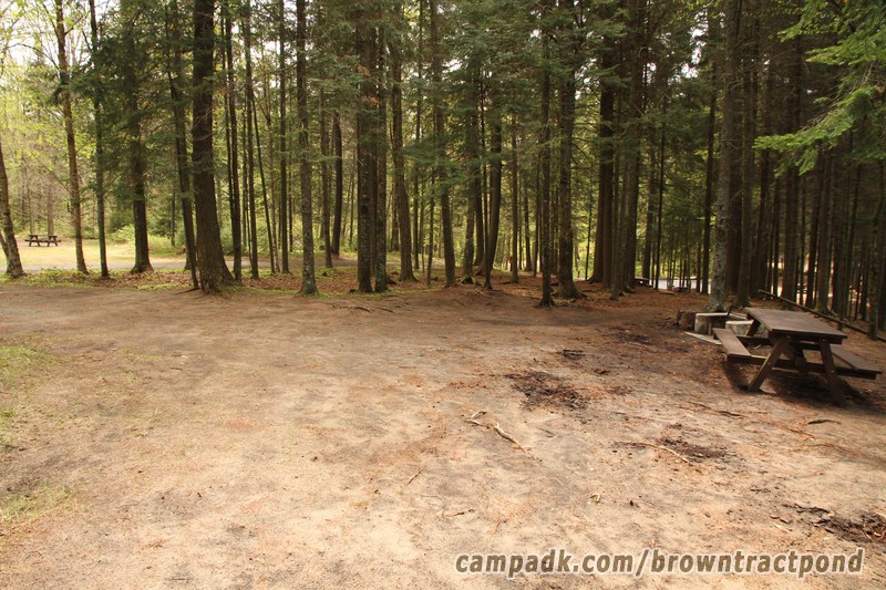 Campsite Photo of Site 12 at Brown Tract Pond Campground, New York - Cross Site View