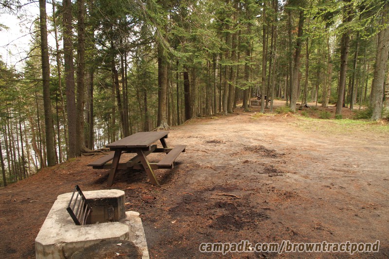 Campsite Photo of Site 12 at Brown Tract Pond Campground, New York - Cross Site View