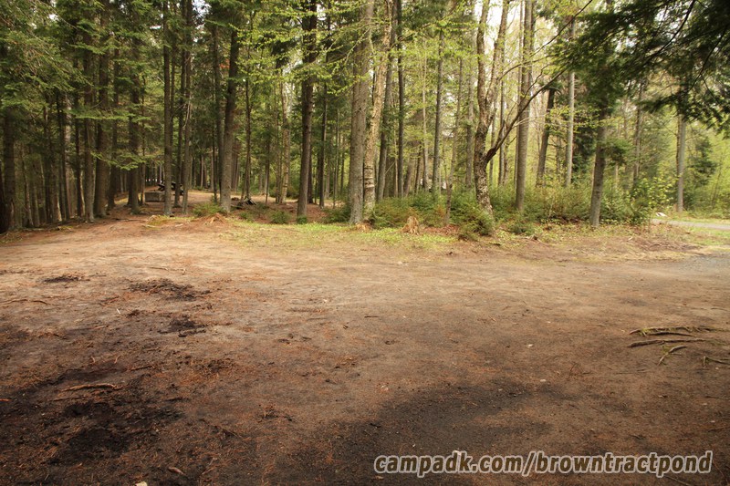 Campsite Photo of Site 12 at Brown Tract Pond Campground, New York - Cross Site View