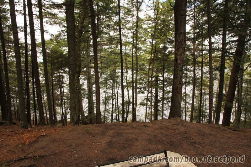 Campsite Photo of Site 12 at Brown Tract Pond Campground, New York - Fireplace View