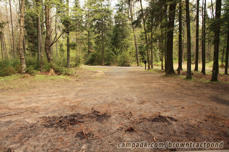 Campsite Photo of Site 12 at Brown Tract Pond Campground, New York - Looking Back Towards Road