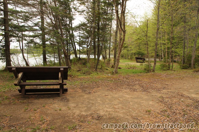Campsite Photo of Site 43 at Brown Tract Pond Campground, New York - Cross Site View