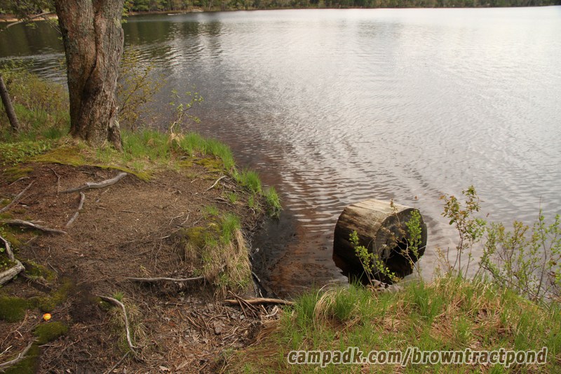Campsite Photo of Site 43 at Brown Tract Pond Campground, New York - Shoreline