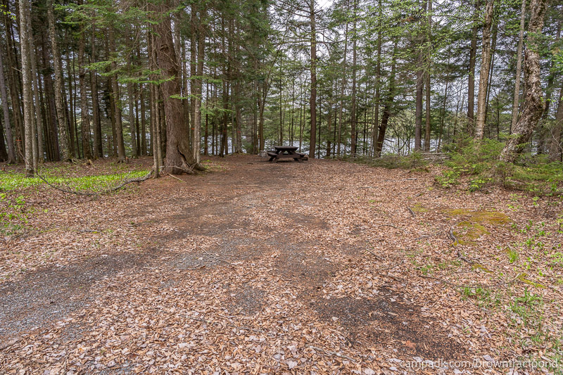 Campsite Photo of Site 12 at Brown Tract Pond Campground, New York - Looking at Site from Road