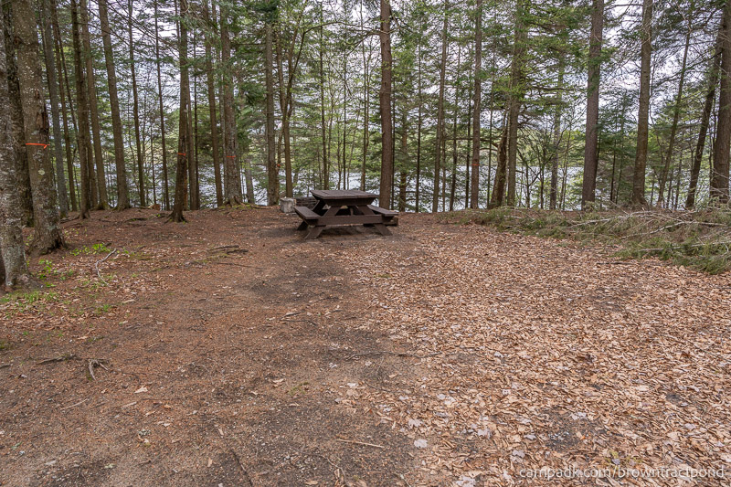 Campsite Photo of Site 12 at Brown Tract Pond Campground, New York - Looking at Site from Part Way In