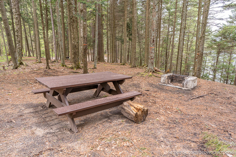 Campsite Photo of Site 12 at Brown Tract Pond Campground, New York - Cross Site View