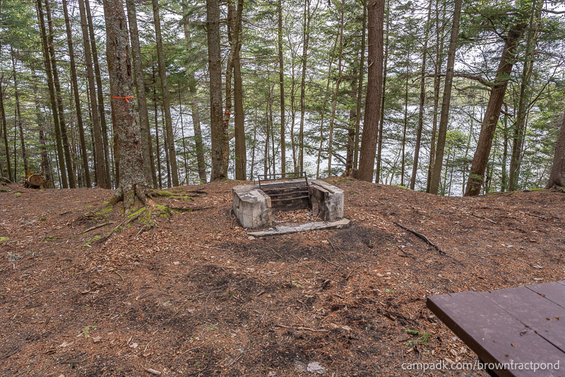 Campsite Photo of Site 12 at Brown Tract Pond Campground, New York - Fireplace View