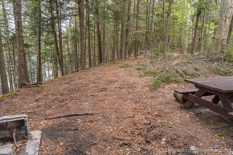 Campsite Photo of Site 12 at Brown Tract Pond Campground, New York - Cross Site View