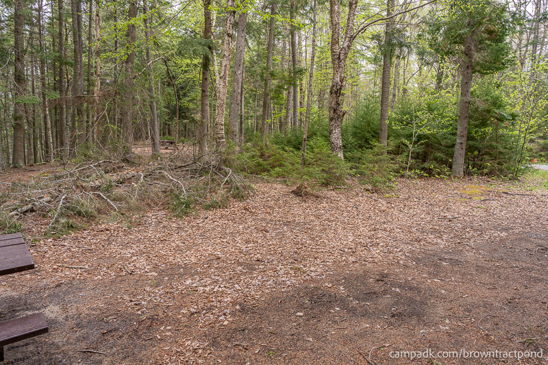 Campsite Photo of Site 12 at Brown Tract Pond Campground, New York - Cross Site View
