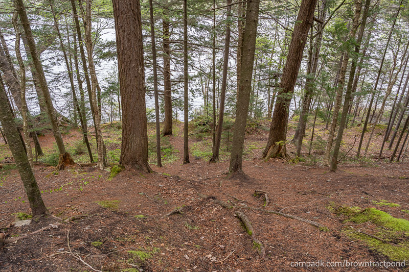 Campsite Photo of Site 12 at Brown Tract Pond Campground, New York - Pathway Down to Water