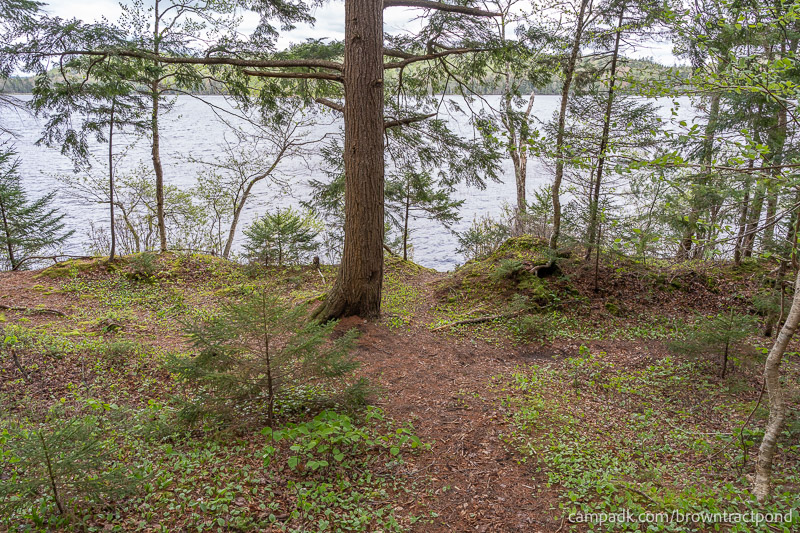 Campsite Photo of Site 12 at Brown Tract Pond Campground, New York - Pathway Down to Water