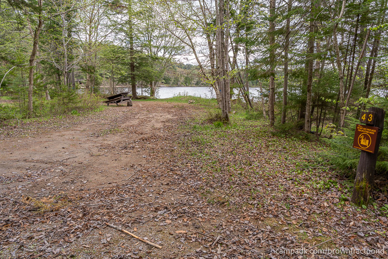 Campsite Photo of Site 43 at Brown Tract Pond Campground, New York - Looking at Site from Road Sign Visible