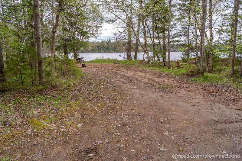 Campsite Photo of Site 43 at Brown Tract Pond Campground, New York - Looking at Site from Road