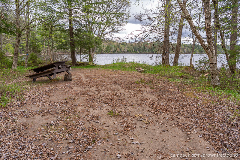 Campsite Photo of Site 43 at Brown Tract Pond Campground, New York - Looking at Site from Part Way In