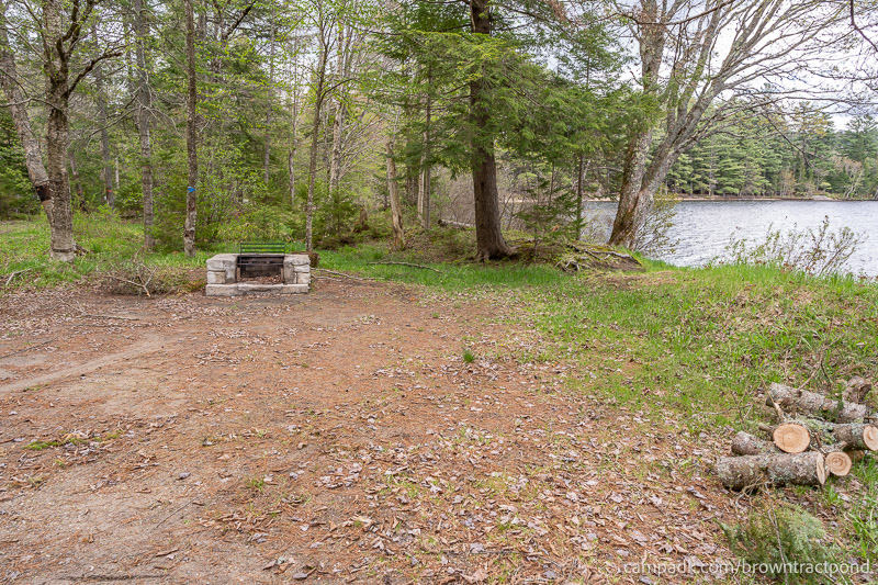 Campsite Photo of Site 43 at Brown Tract Pond Campground, New York - Cross Site View