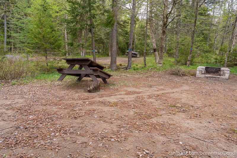 Campsite Photo of Site 43 at Brown Tract Pond Campground, New York - Cross Site View