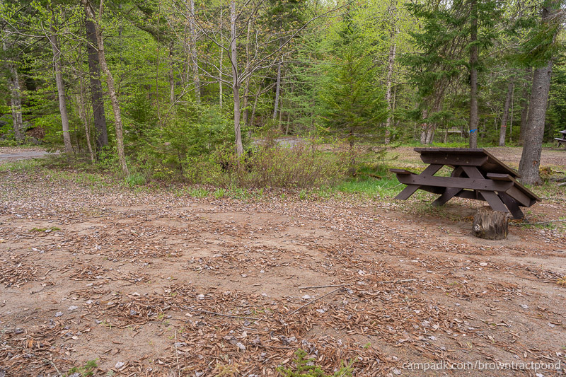 Campsite Photo of Site 43 at Brown Tract Pond Campground, New York - Cross Site View