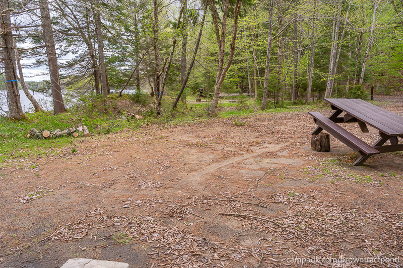 Campsite Photo of Site 43 at Brown Tract Pond Campground, New York - Cross Site View