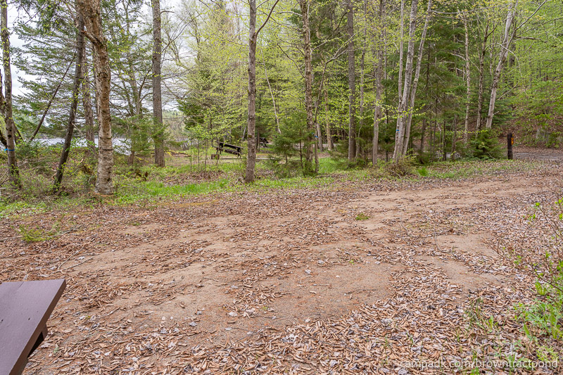 Campsite Photo of Site 43 at Brown Tract Pond Campground, New York - Cross Site View