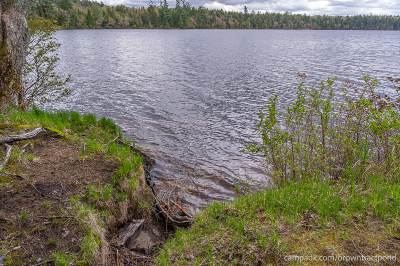 Campsite Photo of Site 43 at Brown Tract Pond Campground, New York - Shoreline