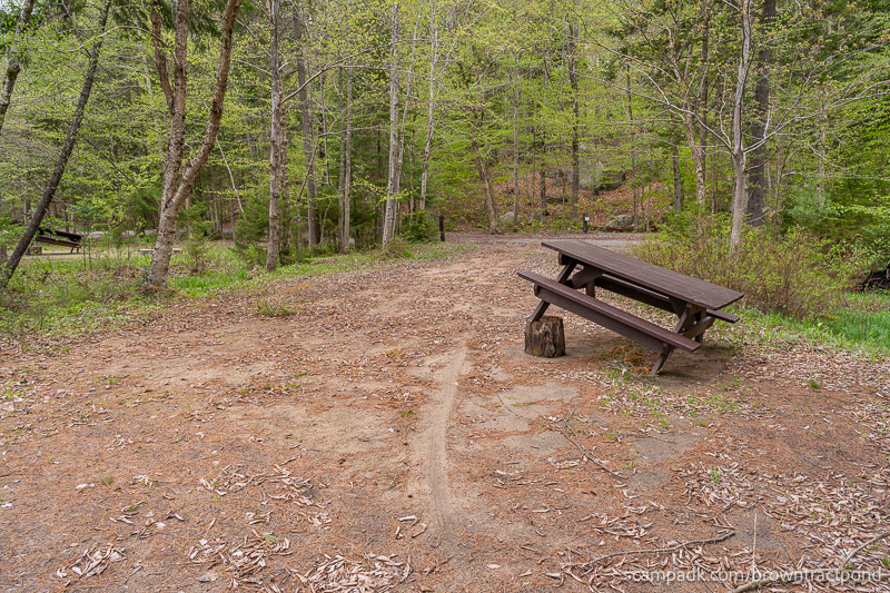 Campsite Photo of Site 43 at Brown Tract Pond Campground, New York - Looking Back Towards Road