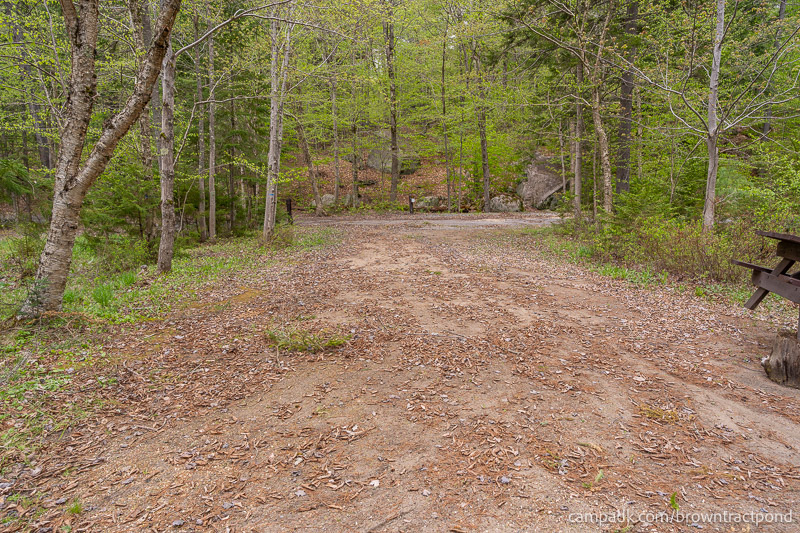 Campsite Photo of Site 43 at Brown Tract Pond Campground, New York - Looking Back Towards Road
