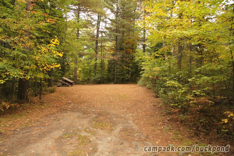 Campsite Photo of Site 7 at Buck Pond Campground, New York - Looking at Site from Road