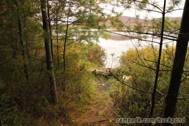 Campsite Photo of Site 7 at Buck Pond Campground, New York - Pathway Down to Water