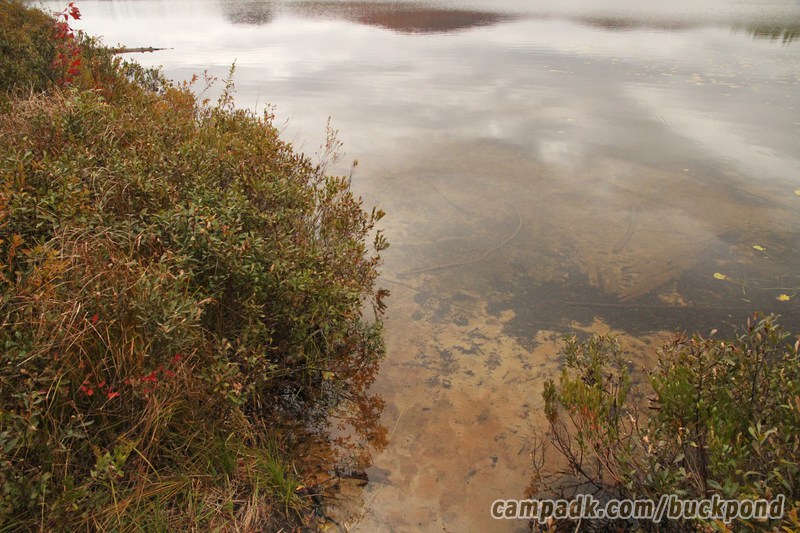 Campsite Photo of Site 7 at Buck Pond Campground, New York - Shoreline
