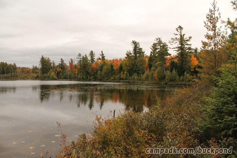 Campsite Photo of Site 7 at Buck Pond Campground, New York - View from Shoreline