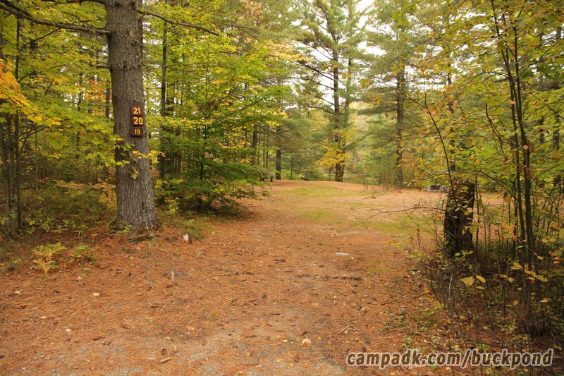 Campsite Photo of Site 19 at Buck Pond Campground, New York - Looking at Site from Road Sign Visible
