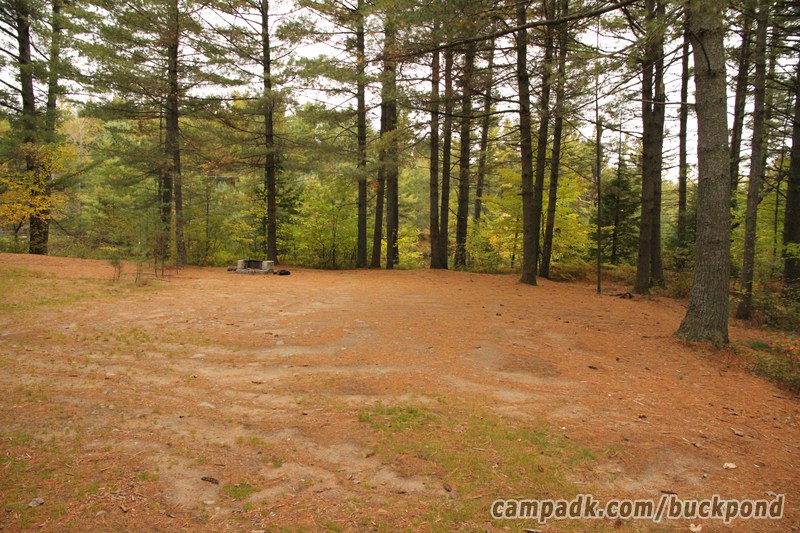 Campsite Photo of Site 19 at Buck Pond Campground, New York - Looking at Site from Part Way In