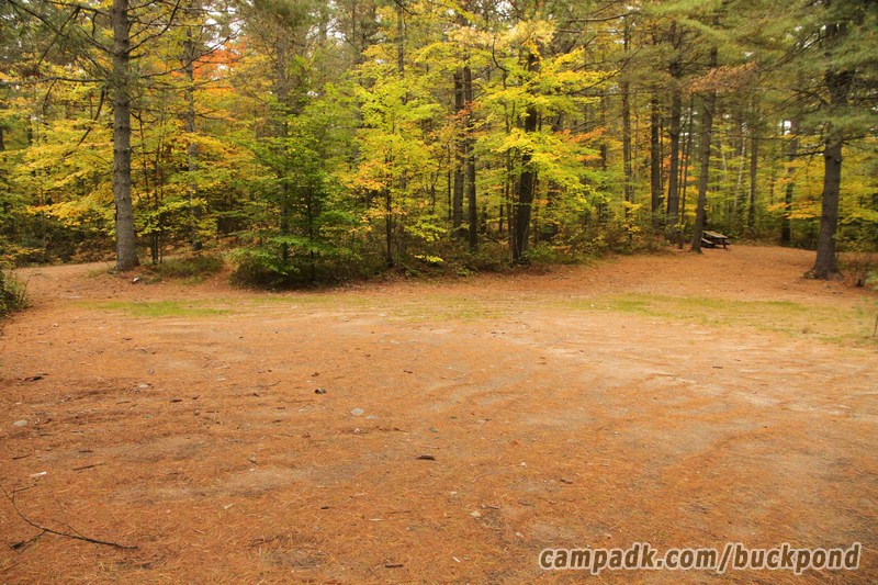 Campsite Photo of Site 19 at Buck Pond Campground, New York - Cross Site View