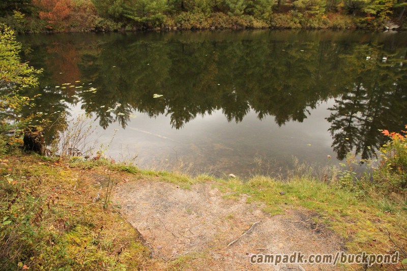 Campsite Photo of Site 19 at Buck Pond Campground, New York - Shoreline