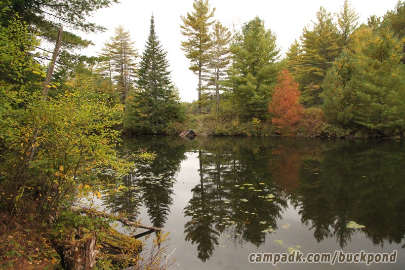 Campsite Photo of Site 19 at Buck Pond Campground, New York - View from Shoreline