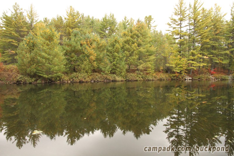 Campsite Photo of Site 19 at Buck Pond Campground, New York - View from Shoreline