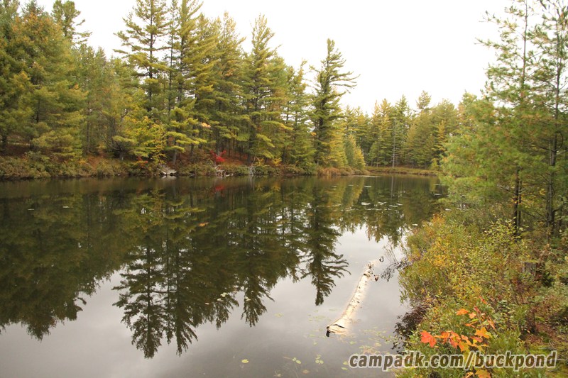 Campsite Photo of Site 19 at Buck Pond Campground, New York - View from Shoreline