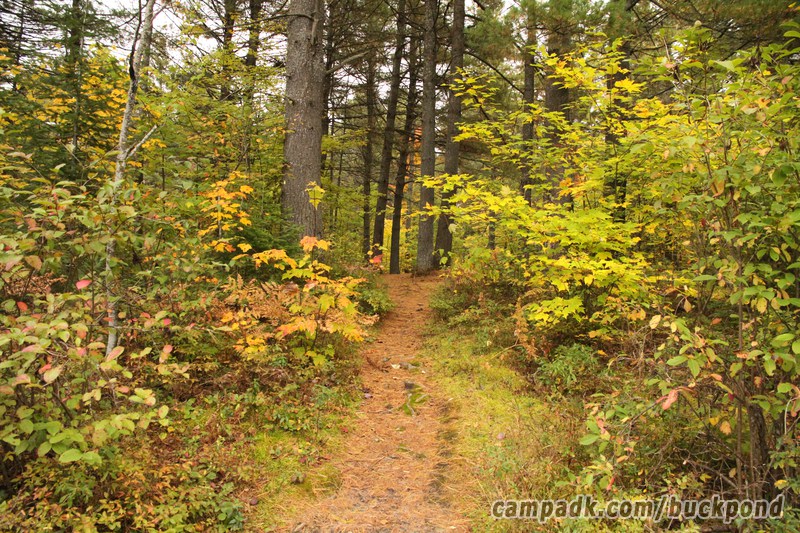Campsite Photo of Site 19 at Buck Pond Campground, New York - Returning Along Pathway from Water