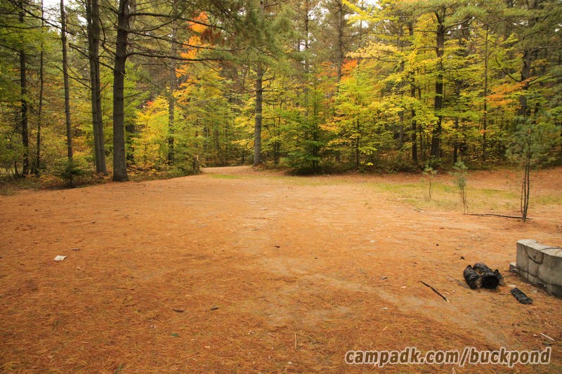 Campsite Photo of Site 19 at Buck Pond Campground, New York - Looking Back Towards Road