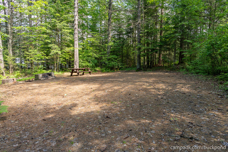 Campsite Photo of Site 7 at Buck Pond Campground, New York - Looking at Site from Part Way In