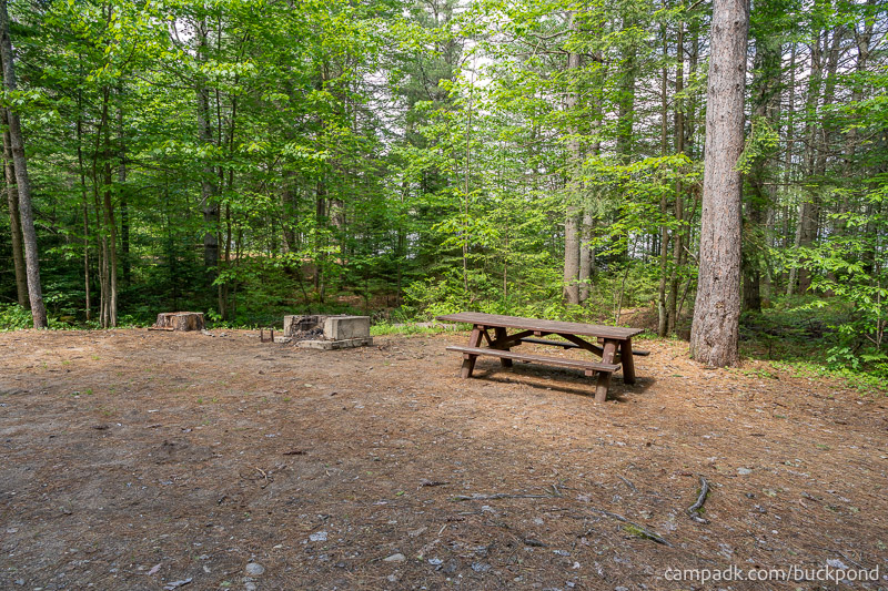 Campsite Photo of Site 7 at Buck Pond Campground, New York - Cross Site View