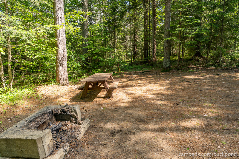 Campsite Photo of Site 7 at Buck Pond Campground, New York - Cross Site View