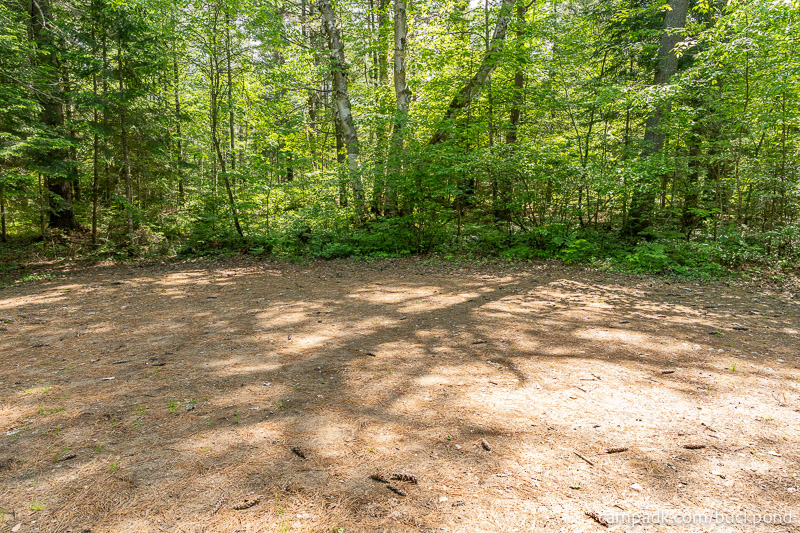 Campsite Photo of Site 7 at Buck Pond Campground, New York - Cross Site View