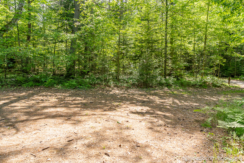 Campsite Photo of Site 7 at Buck Pond Campground, New York - Cross Site View