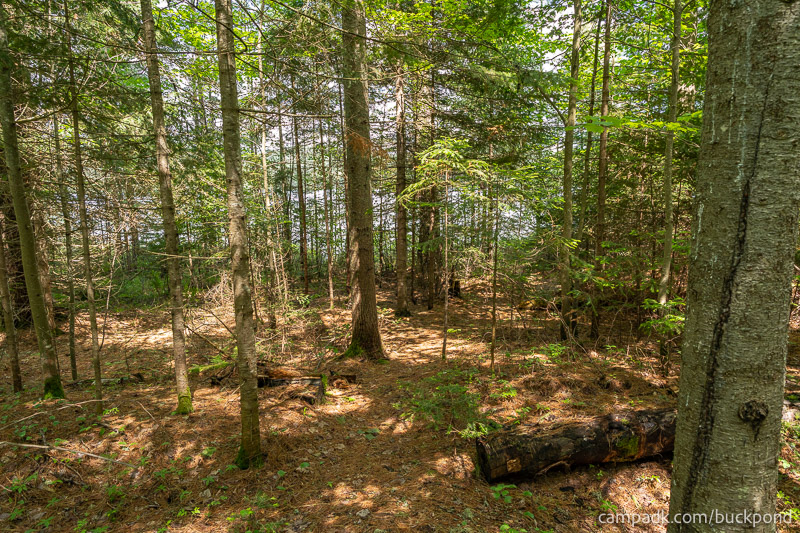 Campsite Photo of Site 7 at Buck Pond Campground, New York - Pathway Down to Water