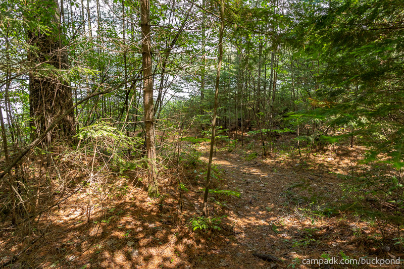 Campsite Photo of Site 7 at Buck Pond Campground, New York - Pathway Down to Water