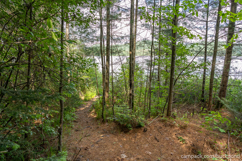 Campsite Photo of Site 7 at Buck Pond Campground, New York - Pathway Down to Water